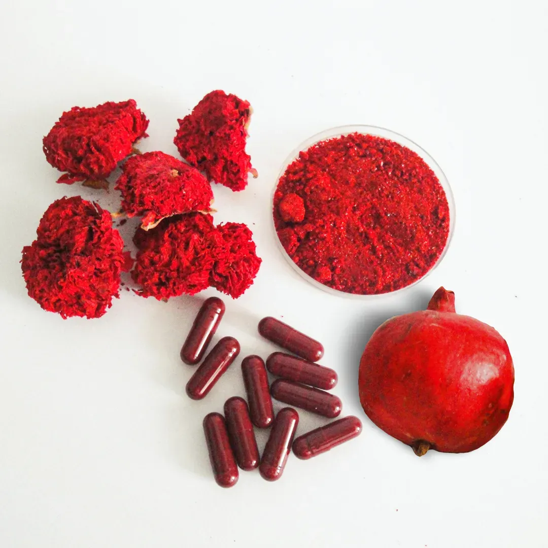 Pomegranate (Punica granatum)