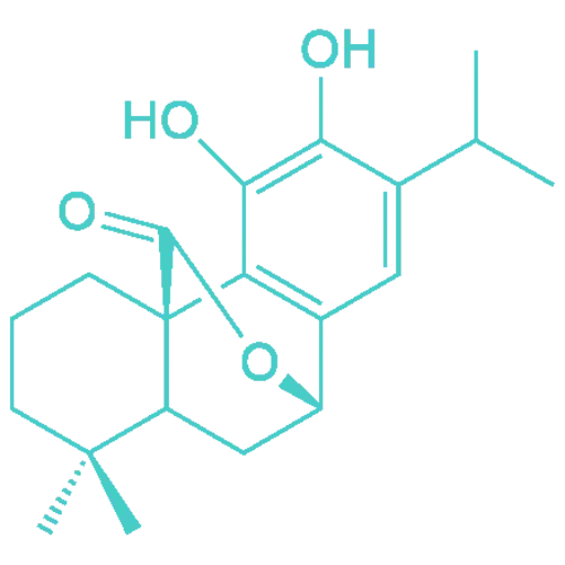 Phytochemicals