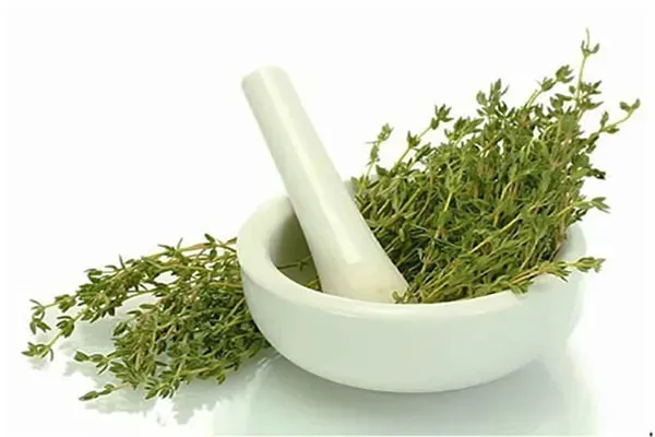 Zataria leaves extract